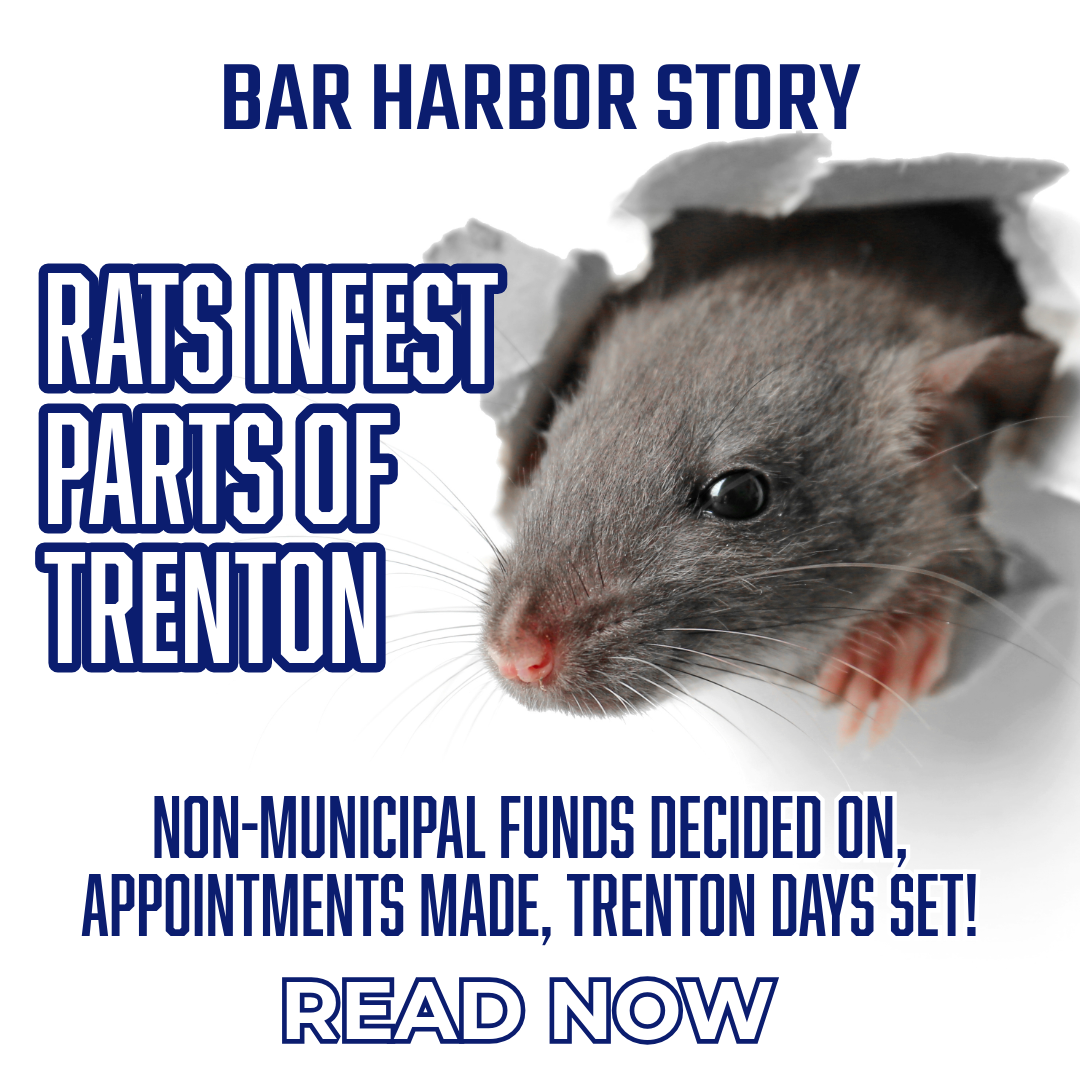 Rats Infest Parts of Trenton Bar Harbor Story